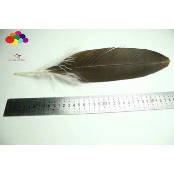 10pcs naravni orel fazan pero rep 35-50 cm/14-20 palčni kave in bela za Diy pustni kostum masko headdress