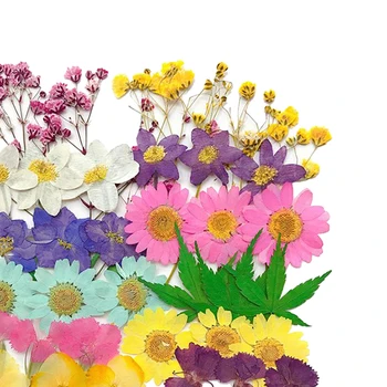 42Pcs Več Realnem Posušene Pritisnete Cvetje Pisane Listi Cvet Cvetnih Listov za Umetnostne Obrti DIY Dekor Projektov Milo Sveča Smole