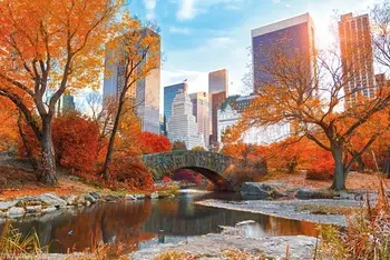 CENTRAL PARK V JESENI NEW YORK SVILE PLAKAT Stensko slikarstvo 24x36inch