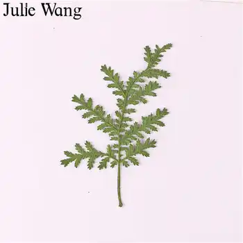 Julie Wang 12PCS Naravno Sušene Artemisia Annua Travo Rastlina, Primerek Epoksi Nakit, Izdelava Opremo Primeru Telefon Dekoracijo