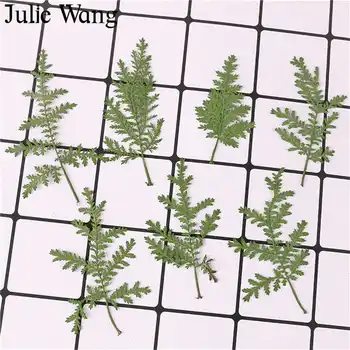 Julie Wang 12PCS Naravno Sušene Artemisia Annua Travo Rastlina, Primerek Epoksi Nakit, Izdelava Opremo Primeru Telefon Dekoracijo
