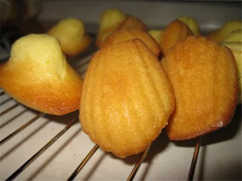 Nonstick Bakeware 6-Pokal Torta Pan Mini Muffin Puding Torta Pan Madeleine Lupini Torto Plesni Torto DIY Peko Okrasitev Orodja