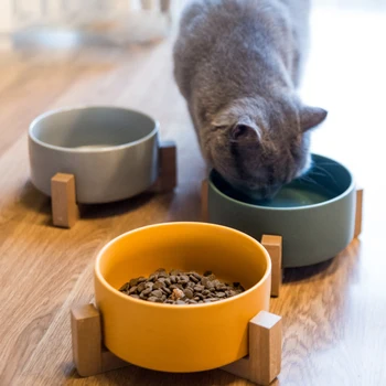 Nove keramične mačka skledo barva preprost mačka riž skledo Hišne oskrbe psa z bazo namizni pribor Kat. št vode donave Visoko vrednost hišne skledo