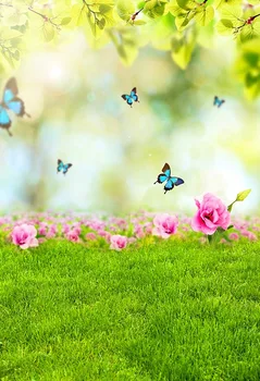 Pomladni cvetovi, metulj Fotografija Ozadje Fotografijo Ozadja poroko otrok Ozadju Foto Studio