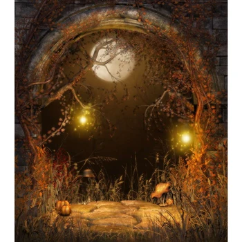 Pravljica Grad Arch Vrata Halloween Ozadje Duh Luči Javor Listi Drevesa Polna Luna Noč Baby Otroci Fotografijo Ozadja