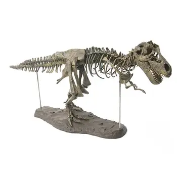 Starodavne Živali Fosilnih Model Igrača Lobanja, T Rex Tyrannosaurus Rex Okostje Dinozavra Živali Zbiralec Dekor 2019