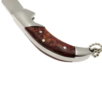 Swayboo iz Nerjavečega Jekla Lockless Keychain Folding Nož Prenosni Mini Žepni Nož za Sadje obeske EOS Nož
